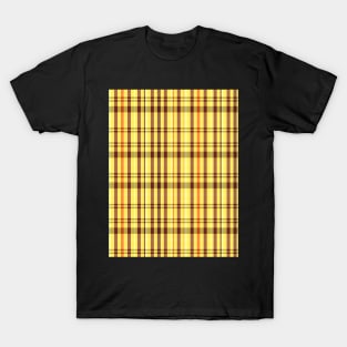 Sunset and Sunrise Aesthetic Catriona 1 Hand Drawn Textured Plaid Pattern T-Shirt